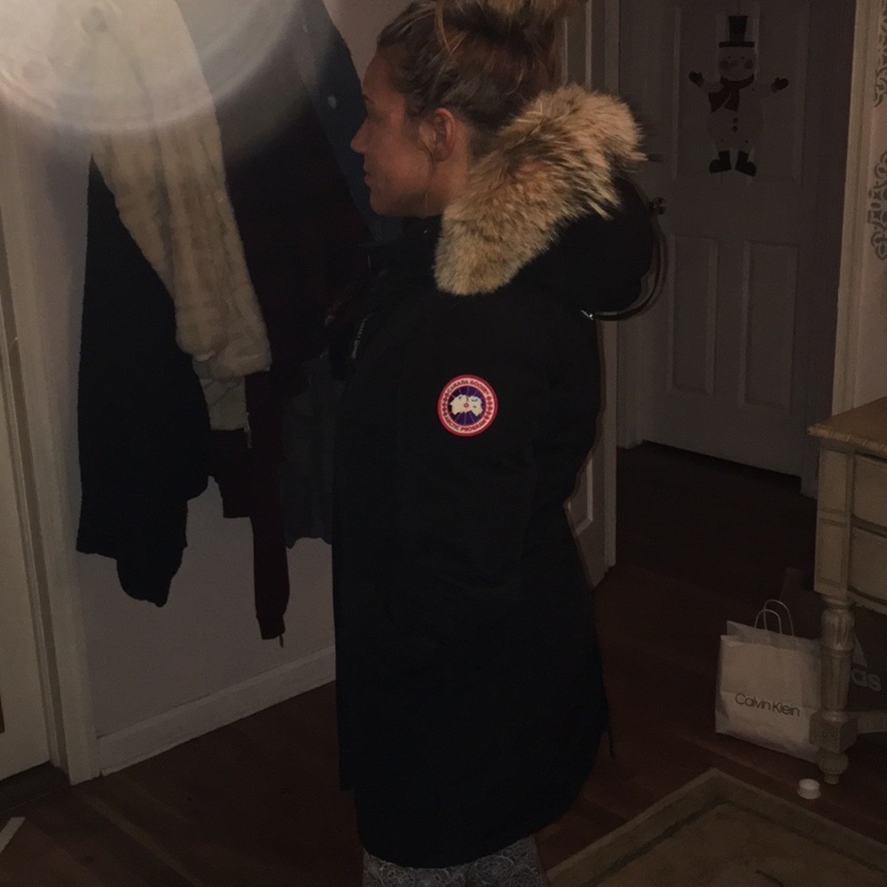 Canada goose Victoria